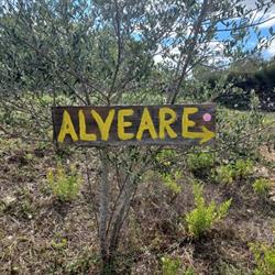 Alveare Lecce, orari di apertura