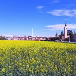 Associazione di Frazione Campocroce di Mogliano Veneto, orari di apertura