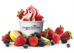Yogurtlandia Martina Franca, orari di apertura