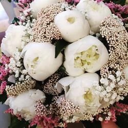 Casablanca - Fiori e piante Di Cittadino Lina Rende, Quattromiglia - Orari di apertura