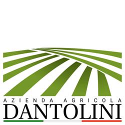 Società Agricola Dantolini, San Giovanni delle Contee orari di apertura
