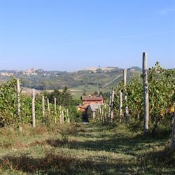 LA MUSSIA, Castelnuovo Calcea orari di apertura