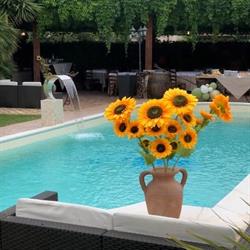 Un Posto al Sole di Cavalli Antonella, Fiumicino orari di apertura