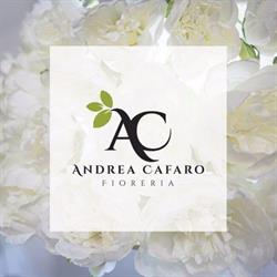 Ac Fioreria Di Andrea Cafaro, Galatina orari di apertura