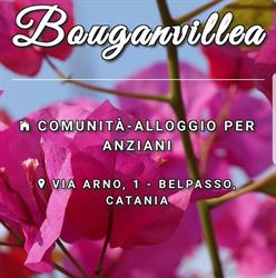 Bouganvillea, Belpasso orari di apertura