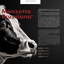 Macelleria Da Andrea, Carrara orari di apertura