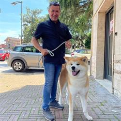 Accuccia, Colleferro orari di apertura