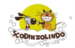 Scodinzolindo, Arzachena orari di apertura