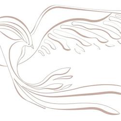 La Fenice, Loreggia orari di apertura