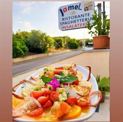 Jamel, Arzachena orari di apertura