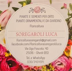 Floricoltura Soregaroli Luca, Ghedi orari di apertura