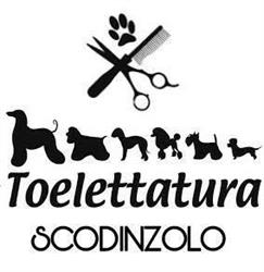 Scodinzolo - Toelettatura per Cani & Gatti - di Roberto Guiotto NOALE, Noale orari di apertura