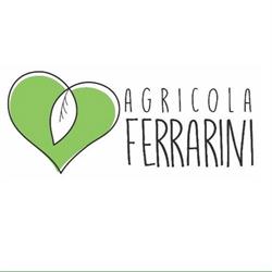 Azienda Agricola Ferrarini, Oppeano orari di apertura