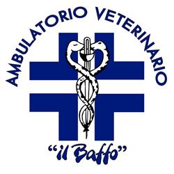 Ambulatorio Veterinario 'Il Baffo' di Brozzi Angela, Bastia Umbra orari di apertura