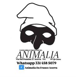 Animalia Da Franco Acerra, orari di apertura