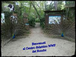 Centro didattico WWF dei Ronchi (MS), Marina di Massa orari di apertura