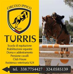 Circolo Ippico Turris, Sassari orari di apertura
