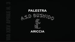 Palestra Bushido Ariccia, orari di apertura