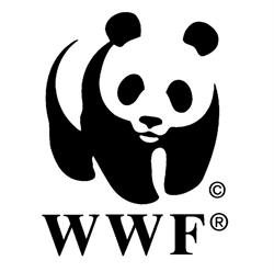 WWF TERNI, Terni orari di apertura