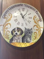 Centro Veterinario, Reggio Calabria orari di apertura