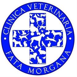Clinica Veterinaria Fata Morgana, Reggio Calabria orari di apertura
