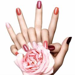 Lisa Nail Art, Sesto San Giovanni orari di apertura
