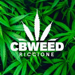 Cbweed Shop - Riccione, orari di apertura