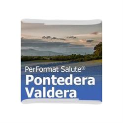 Psicoterapia Valdera PerFormat Salute, Pontedera orari di apertura