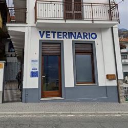 Ambulatorio Veterinario Dott.ssa Borghi Perosa Argentina- Val Chisone, orari di apertura