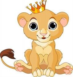 The King of animals, Montelupone orari di apertura