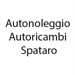 Autonoleggio Autoricambi Autosoccorso Spataro, Niscemi orari di apertura