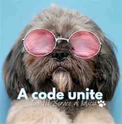 A Code Unite, Roma orari di apertura