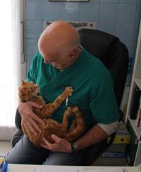 Clinica Veterinaria Degli Angeli, Santa Maria degli Angeli orari di apertura