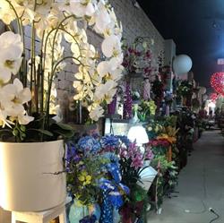 L`arte dei Fiori, Napoli orari di apertura