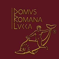 Domus Romana Lucca, orari di apertura