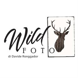 Wild Foto, Bolzano orari di apertura