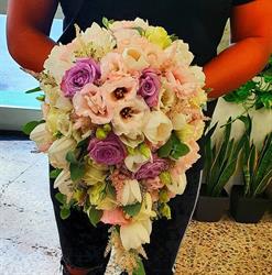 L'Orchidea, Reggio Calabria orari di apertura