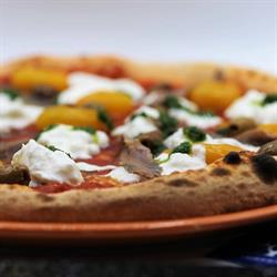 All'Olmo Ristorante Pizzeria, Novara orari di apertura
