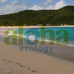 Aloha Ecology Srl Due Carrare, Carrara San Giorgio - Orari di apertura