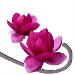 Bioprofumeria Magnolia, Corato orari di apertura