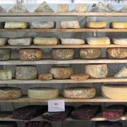 La Formaggeria Roma, orari di apertura