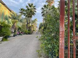 Vivaio Ascione, Ercolano orari di apertura
