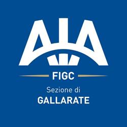 A.I.A. SEZIONE DI GALLARATE, Gallarate orari di apertura