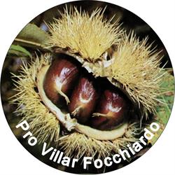 Associazione Pro Villar Focchiardo, orari di apertura