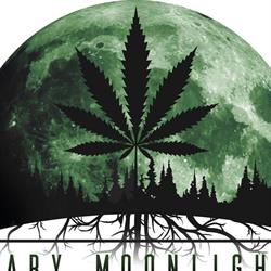 Mary Moonlight Official Point Torino Vanchiglia - Cannabis Light Torino, orari di apertura