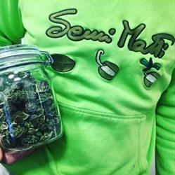 Semi Matti grow shop varese, Varese orari di apertura