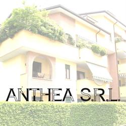 Anthea Srl, Lissone orari di apertura