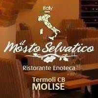 Il Mosto Selvatico, Termoli orari di apertura