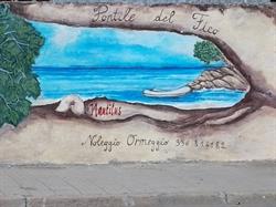 Nautilus S.n.c. Pontile del Fico Arzachena, Cannigione - Orari di apertura