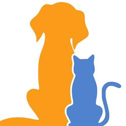 Clinica Veterinaria delle Alpi, Nichelino orari di apertura